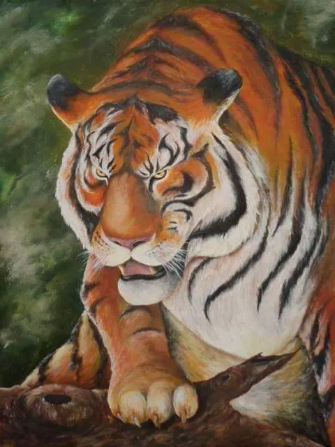 Wild Life Artwork 4